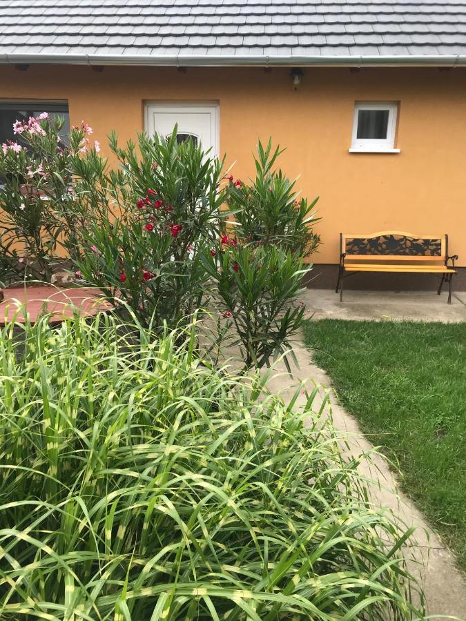 Dália apartman Gyömrő Esterno foto